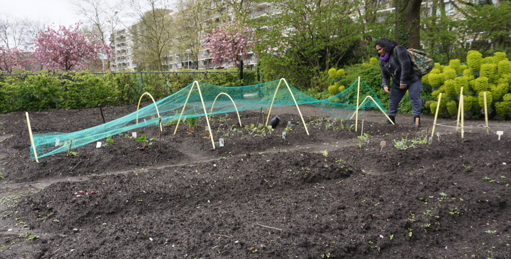 website tuin kortenbos 
